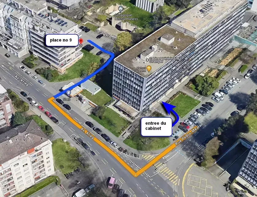 Plan du parking agrandi